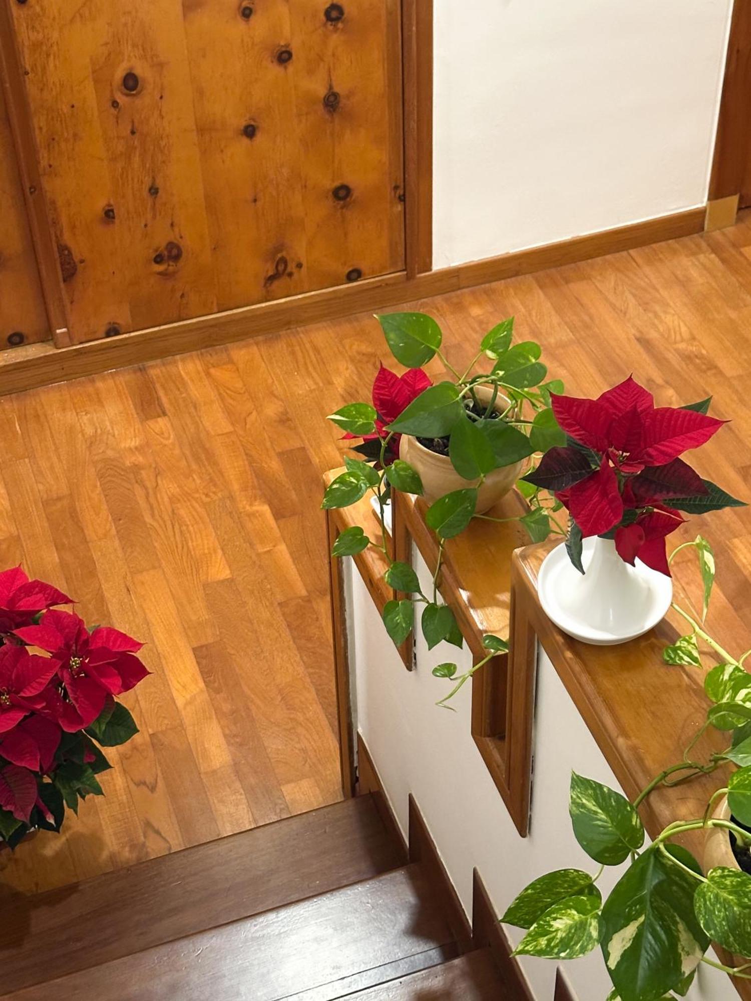 B&B Le Foglie D'Ulivo Бари Экстерьер фото