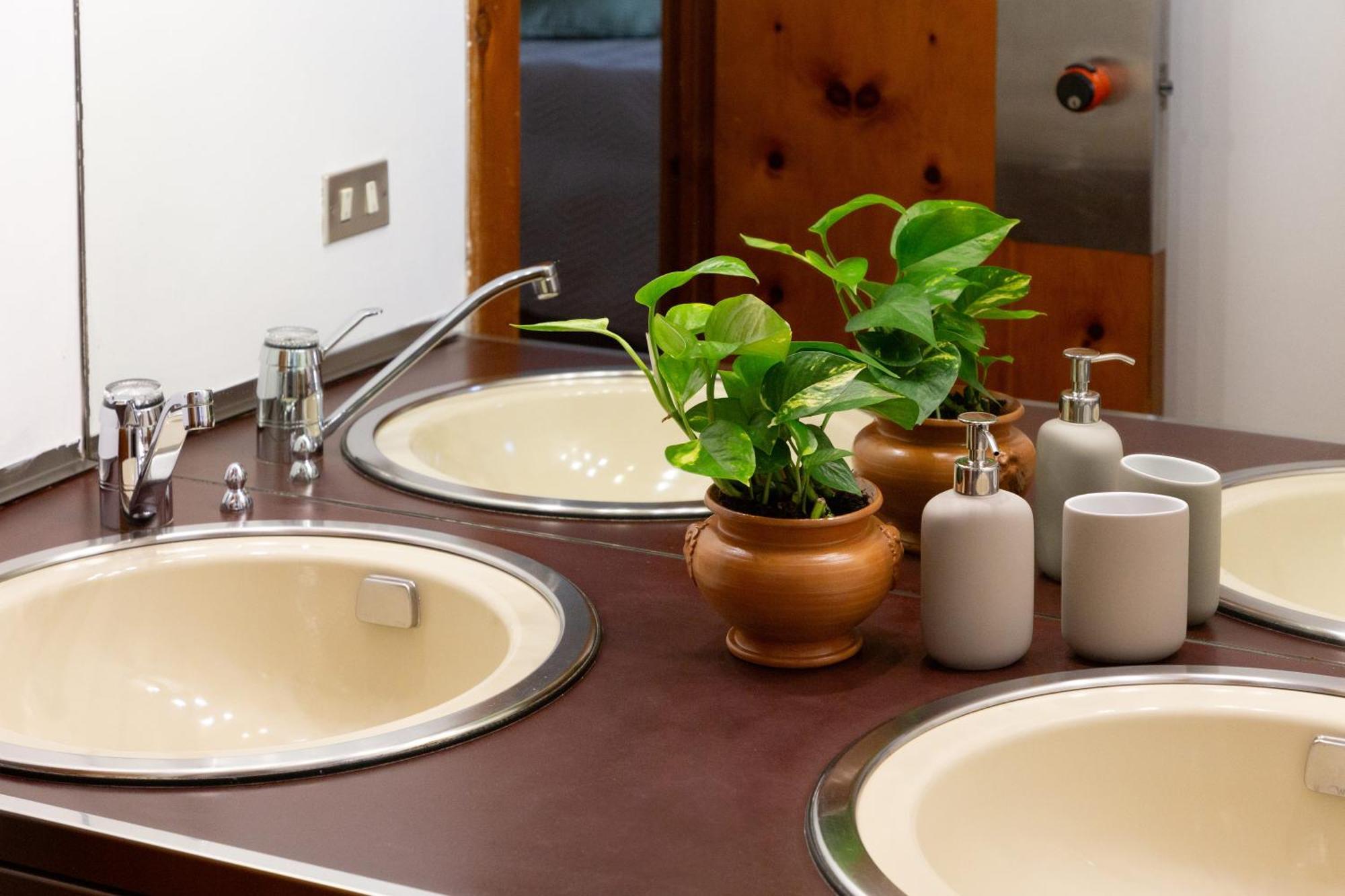 B&B Le Foglie D'Ulivo Бари Экстерьер фото